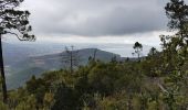 Trail Walking Théoule-sur-Mer - les 3 cols et grosses et petites grues - Photo 9