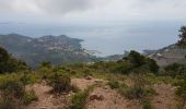 Trail Walking Théoule-sur-Mer - les 3 cols et grosses et petites grues - Photo 6