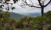 Trail Walking Théoule-sur-Mer - les 3 cols et grosses et petites grues - Photo 5