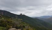 Trail Walking Théoule-sur-Mer - les 3 cols et grosses et petites grues - Photo 3