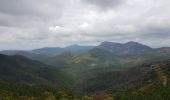 Trail Walking Théoule-sur-Mer - les 3 cols et grosses et petites grues - Photo 2