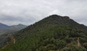 Trail Walking Théoule-sur-Mer - les 3 cols et grosses et petites grues - Photo 1