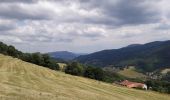 Tour Wandern Gemaingoutte - 67 Sentier vestiges 1914 - 1918 - Photo 2