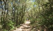 Trail Walking Vallon-Pont-d'Arc - 180628 EnCours - Photo 7