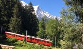 Excursión Senderismo Chamonix-Mont-Blanc - Chamonix-Les Mottets-Mer de glaces-Montevers - Photo 17