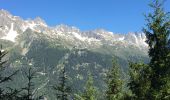 Excursión Senderismo Chamonix-Mont-Blanc - Chamonix-Les Mottets-Mer de glaces-Montevers - Photo 16