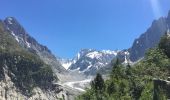 Randonnée Marche Chamonix-Mont-Blanc - Chamonix-Les Mottets-Mer de glaces-Montevers - Photo 13