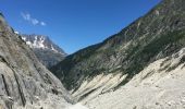 Trail Walking Chamonix-Mont-Blanc - Chamonix-Les Mottets-Mer de glaces-Montevers - Photo 11