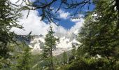 Trail Walking Chamonix-Mont-Blanc - Chamonix-Les Mottets-Mer de glaces-Montevers - Photo 6