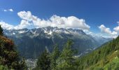 Randonnée Marche Chamonix-Mont-Blanc - Chamonix-Les Mottets-Mer de glaces-Montevers - Photo 5