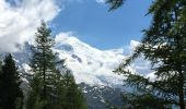 Randonnée Marche Chamonix-Mont-Blanc - Chamonix-Les Mottets-Mer de glaces-Montevers - Photo 4