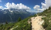 Randonnée Marche Chamonix-Mont-Blanc - Chamonix-Les Mottets-Mer de glaces-Montevers - Photo 3