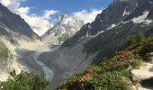 Percorso Marcia Chamonix-Mont-Blanc - Chamonix-Les Mottets-Mer de glaces-Montevers - Photo 1