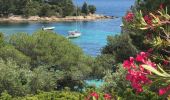 Tour Wandern Le Lavandou - Le Lavandou - Cap Negre - Photo 7