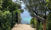 Tour Wandern Le Lavandou - Le Lavandou - Cap Negre - Photo 5