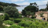 Randonnée Marche Le Lavandou - Le Lavandou - Cap Negre - Photo 3