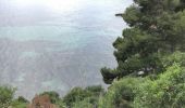 Trail Walking Le Lavandou - Le Lavandou - Cap Negre - Photo 2