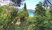 Tocht Stappen Le Lavandou - Le Lavandou - Bormes Les Mimosas - Le Lavandou - Photo 16