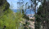 Tour Wandern Le Lavandou - Le Lavandou - Bormes Les Mimosas - Le Lavandou - Photo 13