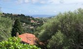 Tocht Stappen Le Lavandou - Le Lavandou - Bormes Les Mimosas - Le Lavandou - Photo 8