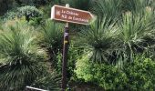 Tour Wandern Le Lavandou - Le Lavandou - Bormes Les Mimosas - Le Lavandou - Photo 5