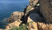 Tour Wandern Le Lavandou - Sentier du Littoral Gaou Pointe de la Ris l'Esquillette - Photo 20