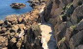 Tour Wandern Le Lavandou - Sentier du Littoral Gaou Pointe de la Ris l'Esquillette - Photo 19