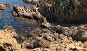 Excursión Senderismo Le Lavandou - Sentier du Littoral Gaou Pointe de la Ris l'Esquillette - Photo 18