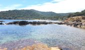 Tour Wandern Le Lavandou - Sentier du Littoral Gaou Pointe de la Ris l'Esquillette - Photo 17