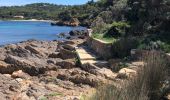 Tocht Stappen Le Lavandou - Sentier du Littoral Gaou Pointe de la Ris l'Esquillette - Photo 15