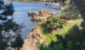 Randonnée Marche Le Lavandou - Sentier du Littoral Gaou Pointe de la Ris l'Esquillette - Photo 14