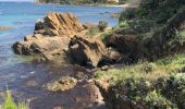 Excursión Senderismo Le Lavandou - Sentier du Littoral Gaou Pointe de la Ris l'Esquillette - Photo 13