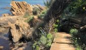 Trail Walking Le Lavandou - Sentier du Littoral Gaou Pointe de la Ris l'Esquillette - Photo 12