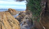 Tour Wandern Le Lavandou - Sentier du Littoral Gaou Pointe de la Ris l'Esquillette - Photo 11