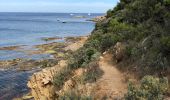 Excursión Senderismo Le Lavandou - Sentier du Littoral Gaou Pointe de la Ris l'Esquillette - Photo 8