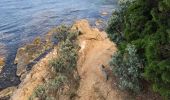 Tour Wandern Le Lavandou - Sentier du Littoral Gaou Pointe de la Ris l'Esquillette - Photo 6