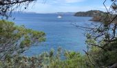 Tour Wandern Le Lavandou - Sentier du Littoral Gaou Pointe de la Ris l'Esquillette - Photo 5