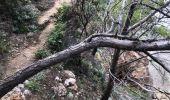 Tour Wandern Le Lavandou - Sentier du Littoral Gaou Pointe de la Ris l'Esquillette - Photo 4