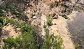 Tour Wandern Le Lavandou - Sentier du Littoral Gaou Pointe de la Ris l'Esquillette - Photo 2