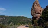 Tour Mountainbike Saint-Raphaël - Peïre Sarade à MF du Malpey - Photo 9