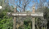 Trail Walking Porto-Vecchio - MAM 1er Jour  - Photo 10