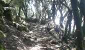 Trail Walking Serra-di-Scopamène - MAM Sud 4eme jour - Photo 3