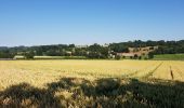 Randonnée Vélo Renaix - beau paysages  - Photo 5