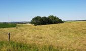 Randonnée Vélo Renaix - beau paysages  - Photo 2