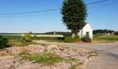 Randonnée Vélo Renaix - beau paysages  - Photo 1