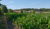 Tocht Mountainbike Ronse - Petits chemins panoramiques autour de Renaix - Photo 9