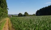 Excursión Bici de montaña Ronse - Petits chemins panoramiques autour de Renaix - Photo 8