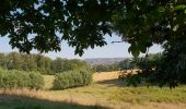 Excursión Bici de montaña Ronse - Petits chemins panoramiques autour de Renaix - Photo 6