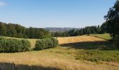 Tocht Mountainbike Ronse - Petits chemins panoramiques autour de Renaix - Photo 5