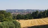 Excursión Bici de montaña Ronse - Petits chemins panoramiques autour de Renaix - Photo 4